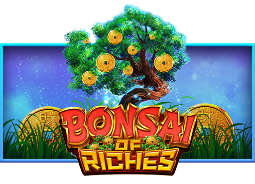bonsai of riches