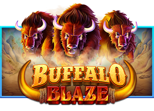 buffalo blaze